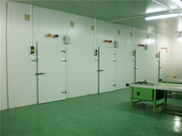 雙溫冷庫(kù),雙溫冷庫(kù)廠(chǎng)家,雙溫冷庫(kù)建造,雙溫冷庫(kù)設(shè)計(jì),雙溫冷庫(kù)價(jià)格表